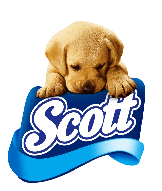 Scott-min